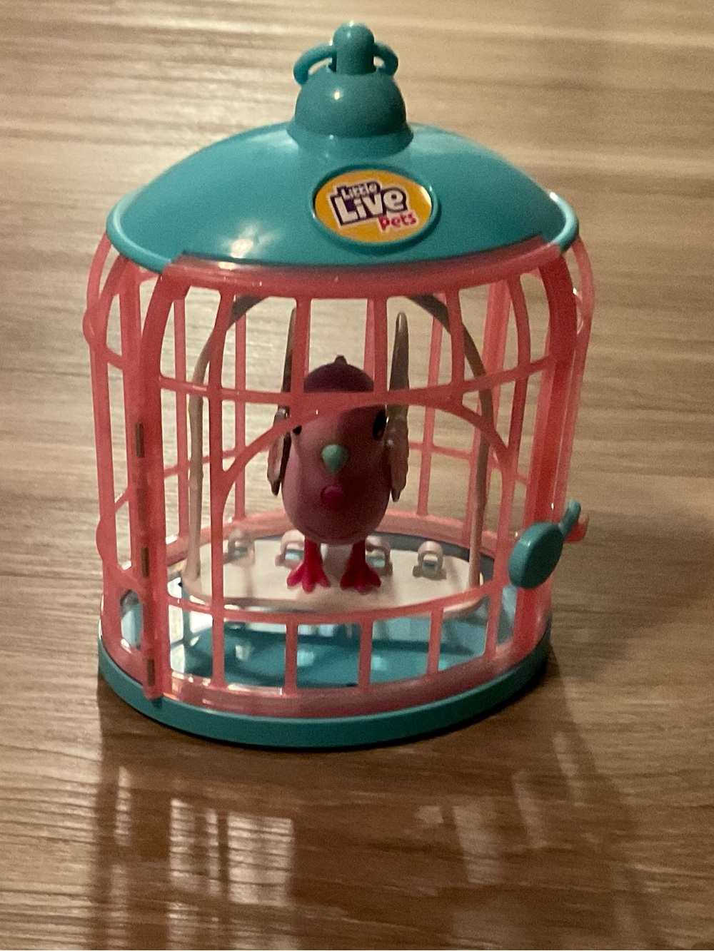 Little Live Pets | Pink & Teal Singing Bird in Cage